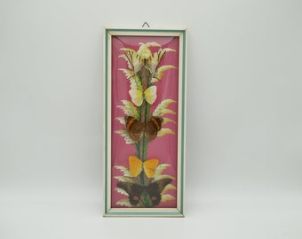 Vintage butterflies set on pink hand painted background from Brazil framed art
