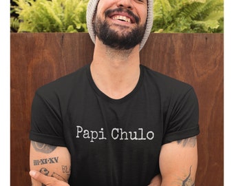 what does papi chulo mean in spanish what does papi chulo mean in spanish