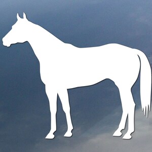 Quarterhorse vinyl decal, car window sticker, design for truck or trailer