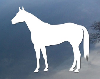 Quarterhorse vinyl decal, car window sticker, design for truck or trailer