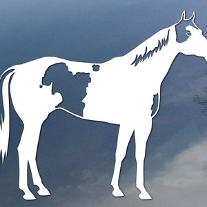Custom Paint horse vinyl decal, with your horse&#39;s markings, car window sticker, design for truck or trailer