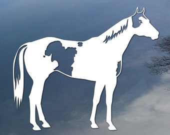 Custom Paint horse vinyl decal, with your horse's markings, car window sticker, design for truck or trailer