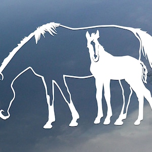 Mare and Foal - horse vinyl decal, car window sticker, design for truck or trailer