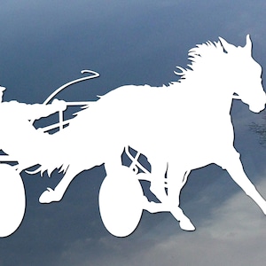 Standardbred racer horse vinyl decal, car window sticker, design for truck or trailer