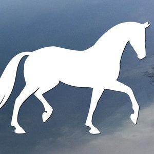 Dressage single horse vinyl decal, car window sticker, design for truck or trailer