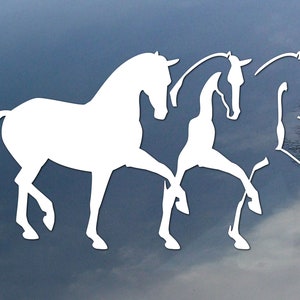 Dressage Half Pass Pferd Vinyl Aufkleber, Autofensteraufkleber, Design für LKW oder Anhänger