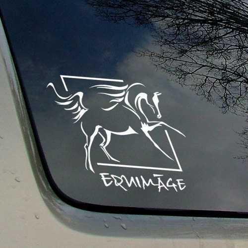 Tenda Oscurante Per Finestre Silhouette Di Cavallo Cavaliere Al Galoppo - Foto 13