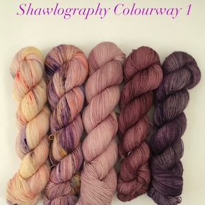 Hand dyed 5 Skeins Shawlography Set for Stephen West Mystery Knit Along