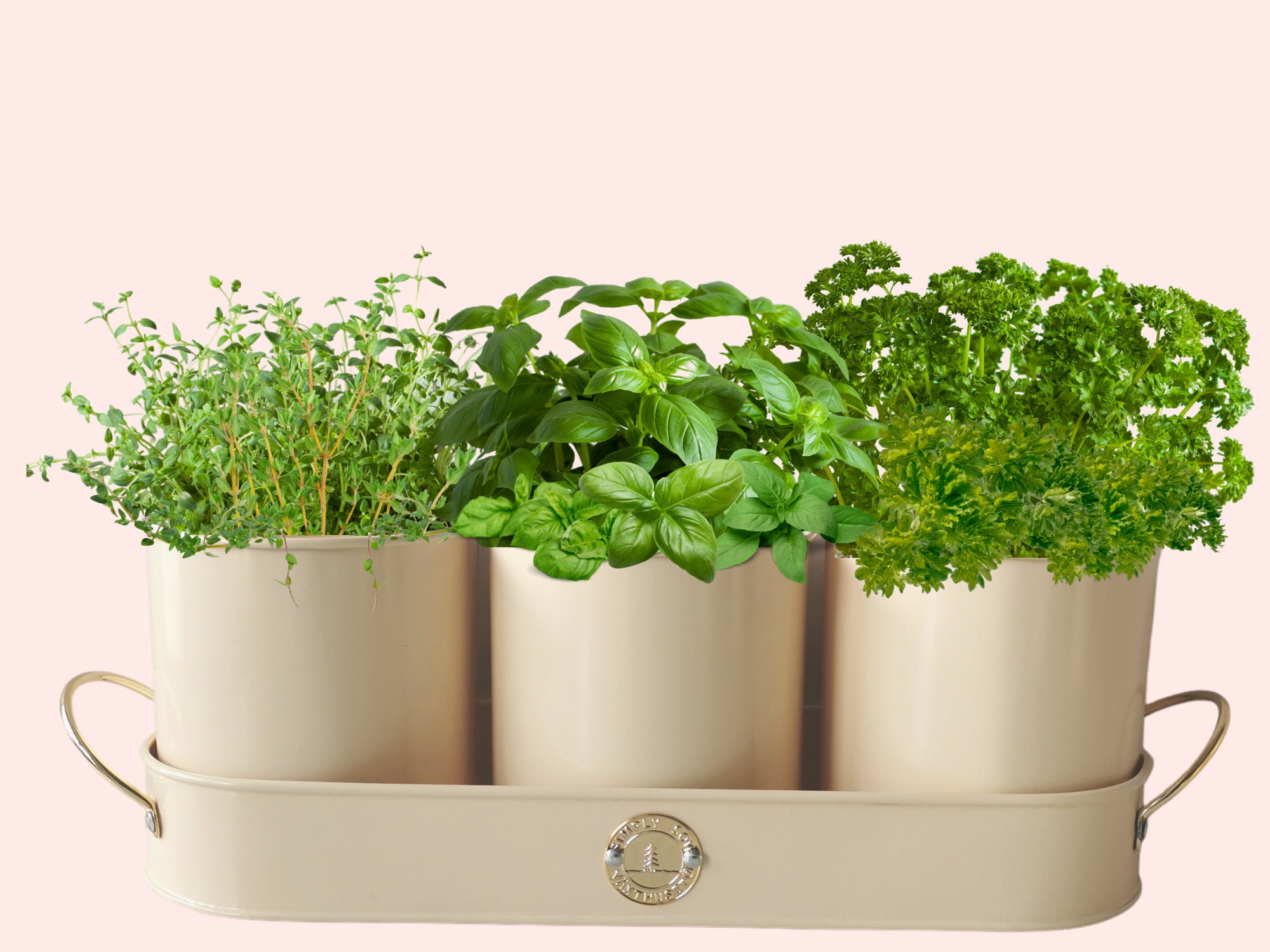 Set of 3 Galvanized Herb Planting Pots with Powder coating Etsy