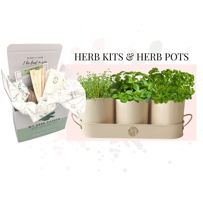 10 Grow Your Own Herbs Kit Simply Sow My Herb Garden Seeds Etsy