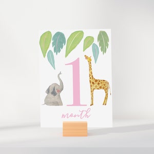 Cartões de marco de bebê safari rosa, cartões de marco de bebê, presente de chá de bebê safari, novo presente de bebê