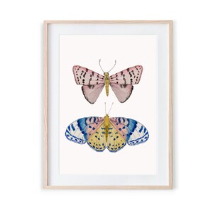 Watercolor Butterfly Art Print: Pink & Blue Botanical Wall Decor