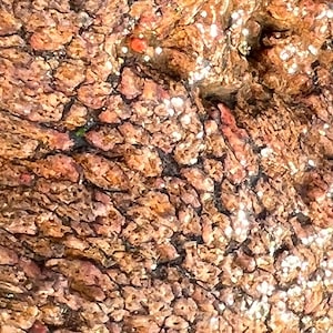 Oolitic Jasper Specimen: Quartz Hematite Mineral, Northern California