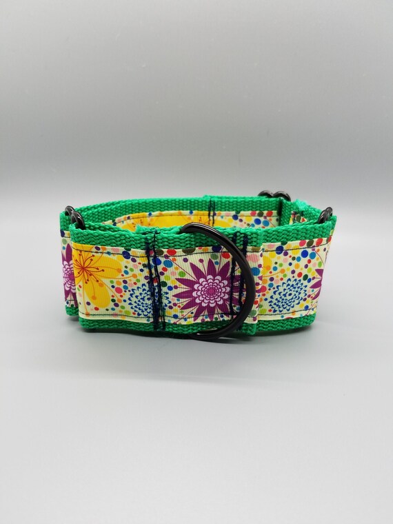 Grosgrain Ribbon Martingale Collar starburst Multi Print on Green Web Etsy