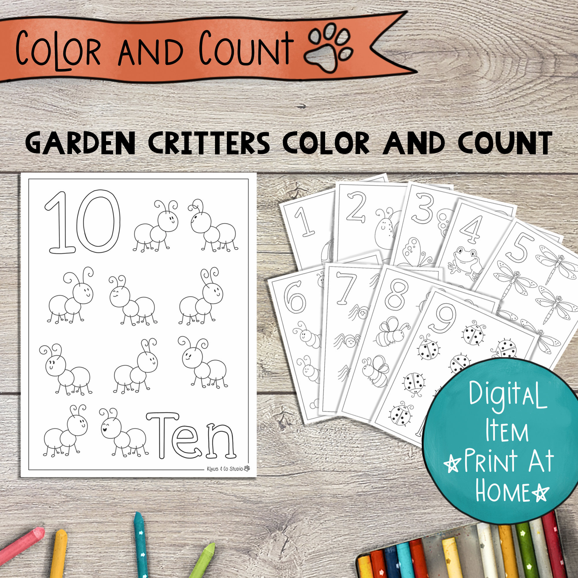 Color And Count Numbers Coloring Pages Garden Critters 1 10 Etsy