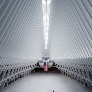 May include: A large, open space with a white, geometric ceiling and a single American flag hanging in the center. A person in red clothing stands in the middle of the space.