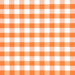 May include: A close-up of a fabric with an orange and white gingham pattern. The checkered design features evenly spaced squares, creating a simple texture. This fabric is suitable for craft and home decor projects.