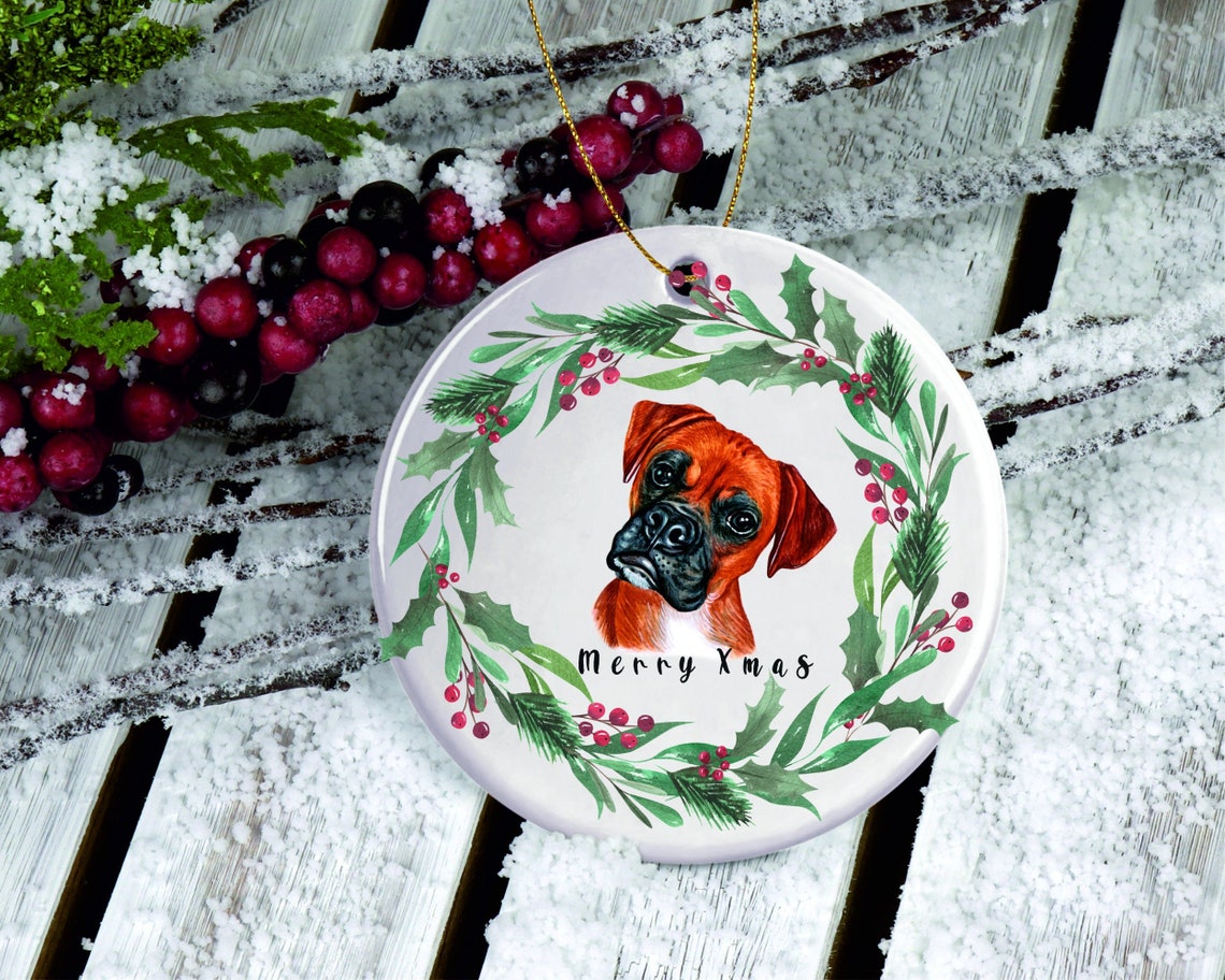 Beautiful Boxer Ornament surrounded by holly leafs