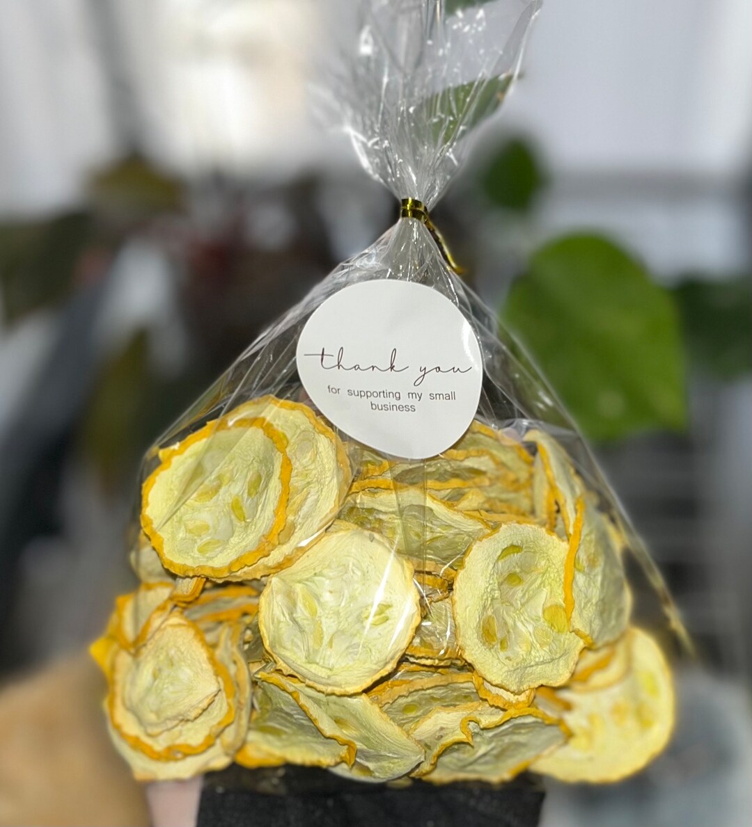 Dehydrated Squash Chips Dried Squash Chips Healthy Snacks Lemon Pepper