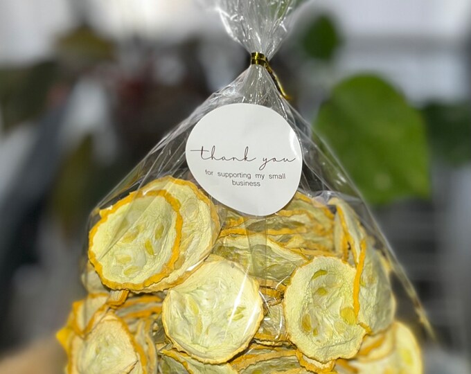 Dehydrated Squash Chips Dried Squash Chips Healthy Snacks Lemon Pepper Mild Southwest Chipotle