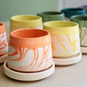 May include: A collection of ceramic planters in various colors, including orange, yellow, green, and teal. Each planter features a unique marbled design and sits on a white saucer. These decorative pots are suitable for small plants.
