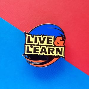 Live and Learn Pin, Sonic Adventure 2, Sonic and Shadow, Sonic Enamel Pin, 90s Gamer Gifts, Collectible Pins, 90s Nostalgia