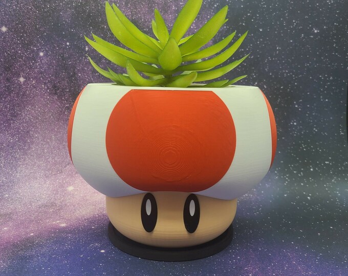 Toad Head / Mushroom Planter - Level Up Your Plant Game!
