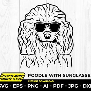 Caniche con gafas de sol, perro con gafas de sol svg, logotipo de perro, amantes de las mascotas, perro genial, Cricut y silueta, png transparente, sublimación