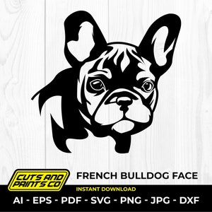Bulldog francés, perro svg, logotipo de perro, amantes de las mascotas, perro genial, Cricut y silueta, png transparente, sublimación