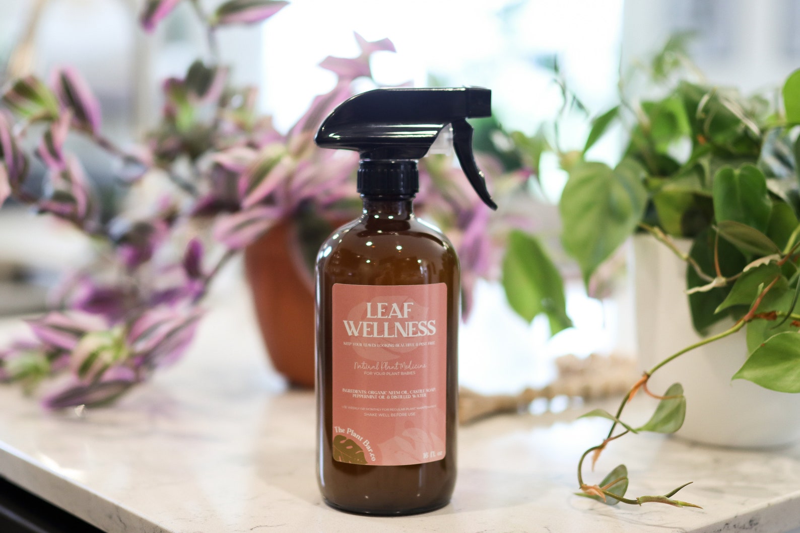 Leaf Wellness 16 oz Neem Oil Spray Etsy