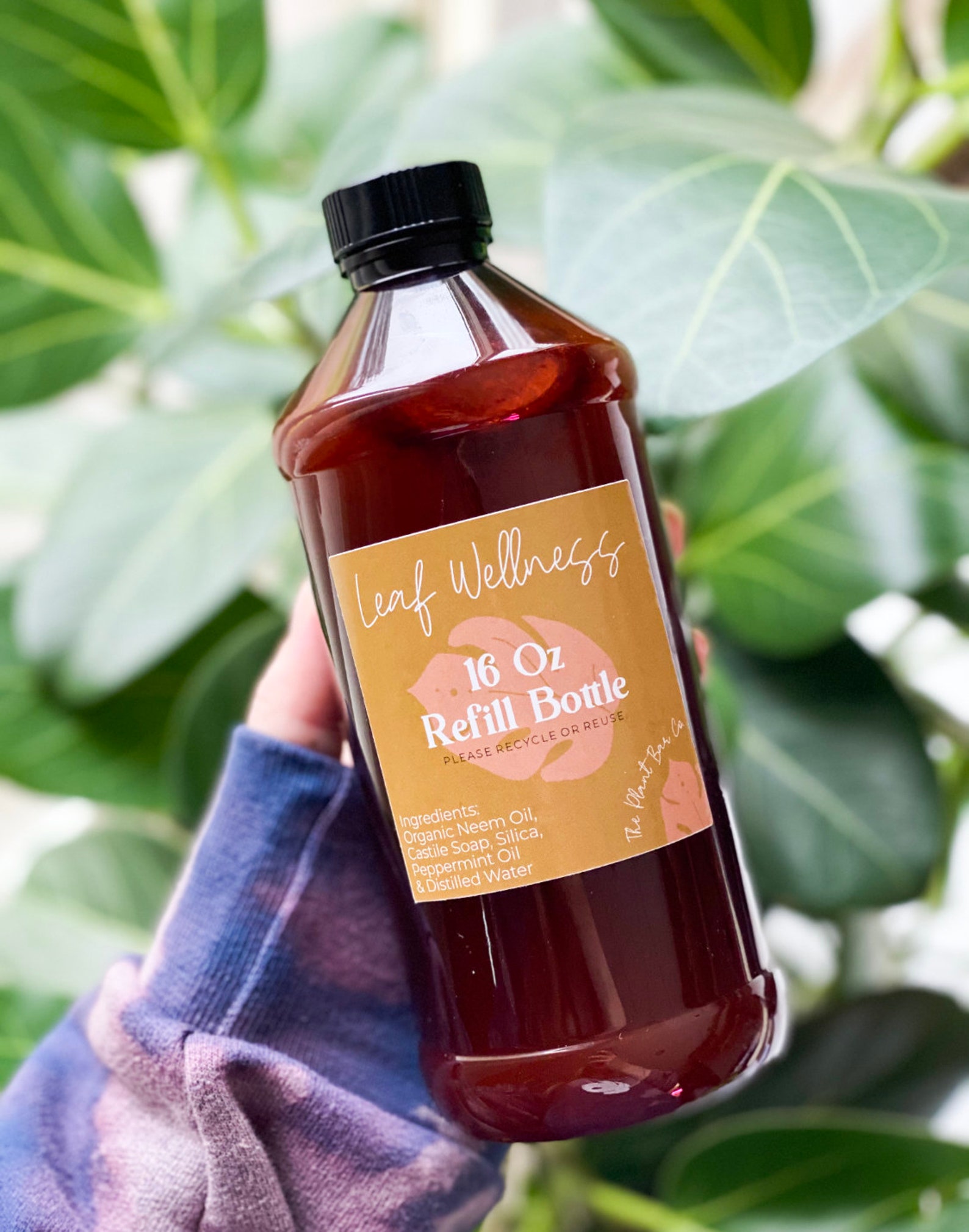 Leaf Wellness 16oz Refill bottle Neem Oil Spray Natural Etsy