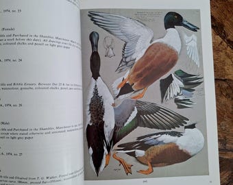 Catálogo de Christe Dibujos a escala Acuarelas Cuadernos de bocetos Manuscritos del estudio de Charles Tunnicliffe Colección de aves Muy raros