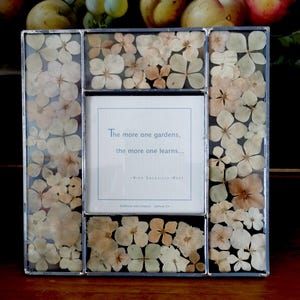 May include: A square glass picture frame with a metal border, featuring pressed cream and pale pink hydrangea petals between the glass panes. The center contains a white card with the text: The more one gardens, the more one learns... -Vita Sackville-West. Wildflower and Company, Oakland, CA.