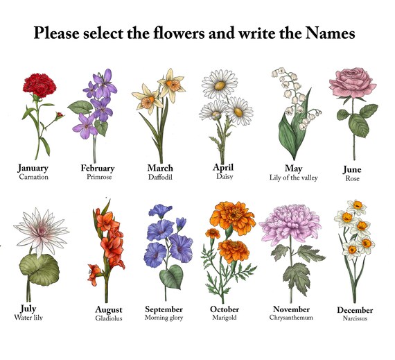Mama's Garden PNG, Birth Month Flower, Choose From 1 to 4