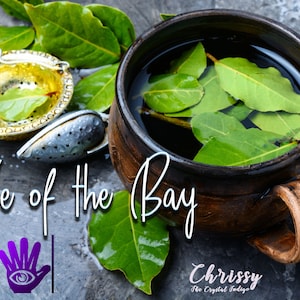 Belle of the Bay (Dreams & Psychic Development, Healing and Cord Cutting)