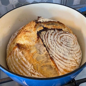May include: A freshly baked loaf of sourdough bread in a blue enameled cast iron Dutch oven. The crust is golden brown with a crackled surface, and the interior appears airy. The bread is round and sits inside the white interior of the pot.