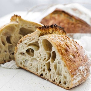 May include: Close-up of sliced artisan bread, showcasing a light tan crust and a porous interior. The bread's texture is highlighted, with large air pockets visible. The image suggests freshly baked, homemade bread, perfect for a bakery or food-related Etsy listing.