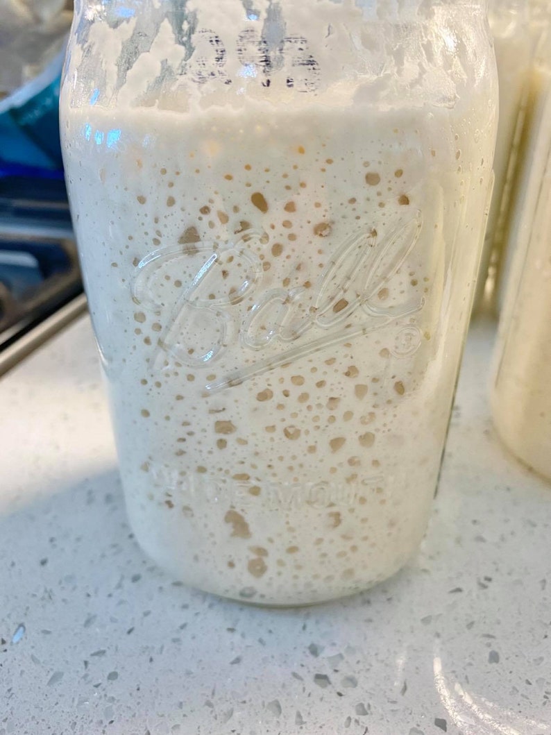May include: A clear glass Ball jar filled with a bubbly, off-white mixture, likely a sourdough starter. The jar is embossed with the Ball logo. The mixture has a foamy texture with small, irregular air pockets and brown flecks.
