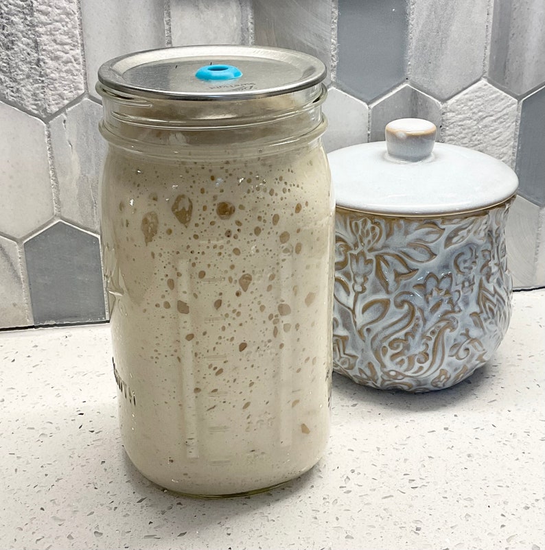 May include: A clear glass jar filled with a bubbly, off-white substance, possibly a sourdough starter. The jar has a metal lid with a blue valve. Beside it is a white and beige ceramic jar with a floral design.