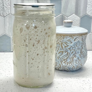Sourdough Starter and Fermentation Lid Combination Set