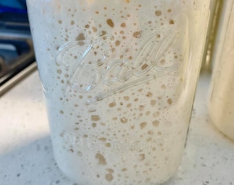Sourdough Starter - Extremely Active!!