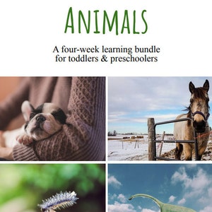 Puede incluir: Un collage de cuatro imágenes con diferentes animales. La imagen superior izquierda muestra un pequeño cachorro blanco y negro durmiendo en los brazos de una persona. La imagen superior derecha muestra un caballo marrón y blanco de pie en un campo nevado. La imagen inferior izquierda muestra una oruga azul y blanca en una hoja verde. La imagen inferior derecha muestra una estatua de dinosaurio verde contra un cielo azul con nubes blancas.