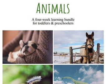 Animales pt. 1: Guía de actividades de cuatro semanas