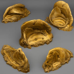 Puede incluir: Cinco piezas de cueva de resina de diferentes tamaños, texturas y formas, de color beige. Las piezas están diseñadas para ser utilizadas como terreno para juegos de mesa.