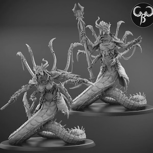 Puede incluir: Dos figuras de fantasía detalladas en escala de grises de una criatura serpentina con múltiples brazos y una toca con cuernos. Una figura sostiene un bastón. Las figuras están sobre bases redondas, con un logo en la esquina superior derecha.