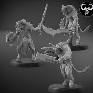Minotaur Brutal Raider Shield Set C | Fallen Beasts | ClayBeastCreation | 3D Printed Fantasy Tabletop Miniature for Gaming