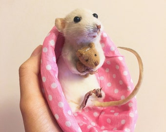 tiny teddy bears for rats