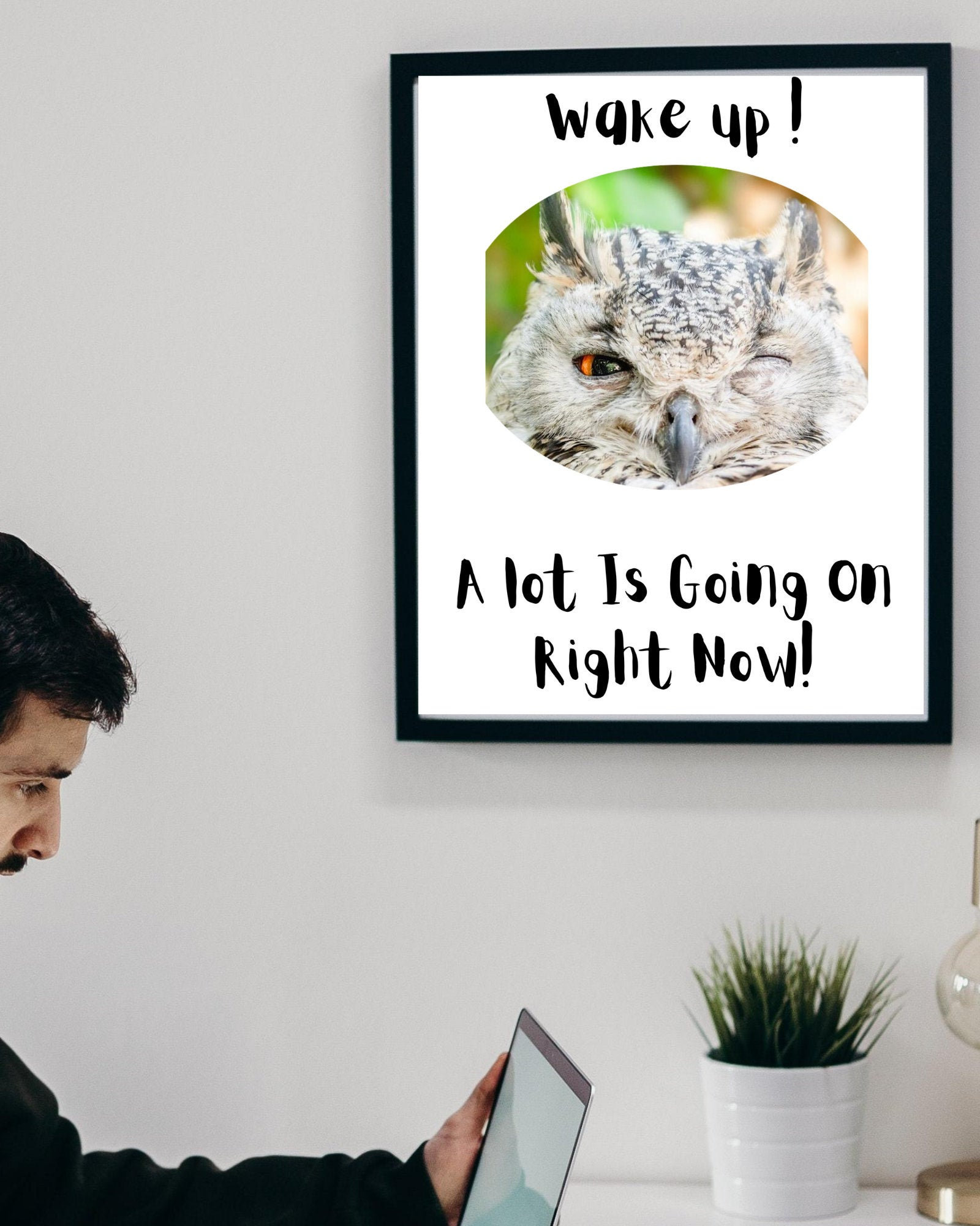 Wake Up Owl Wall Art