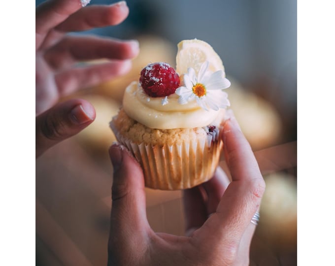 High Ratio Cake and Icing Shortening Kit: 3 Pound Tub, Free Recipe and Spatula