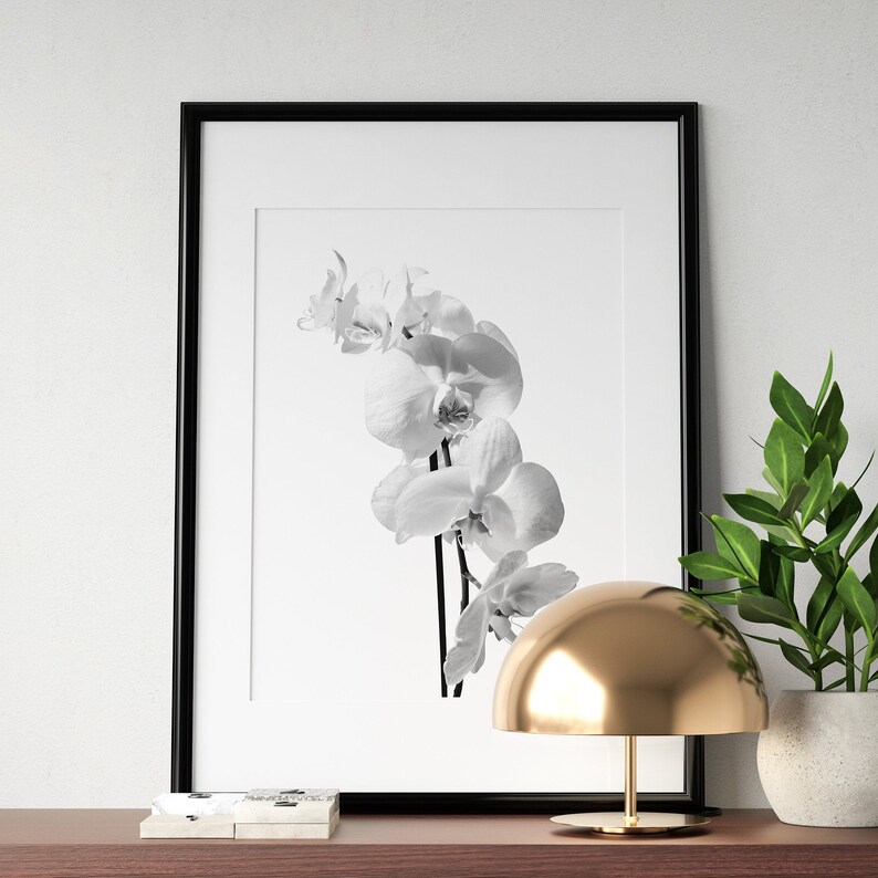 Orchid art print poster Minimalist INSTANT DOWNLOAD Etsy
